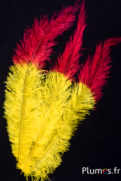 Autruche - 30-40 cm - jaune-rouge